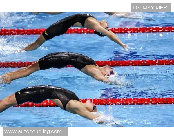 全球顶尖运动员：从赛场到人生的成功之路与挑战