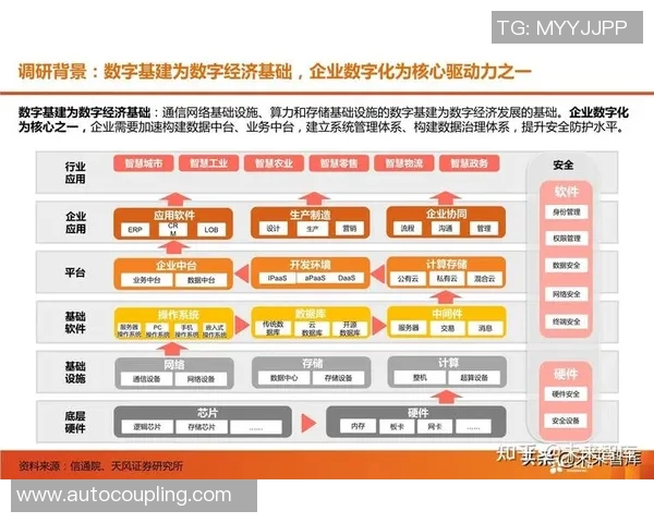 数字化转型引领未来经济发展新趋势，企业如何抓住这一机遇实现跃升