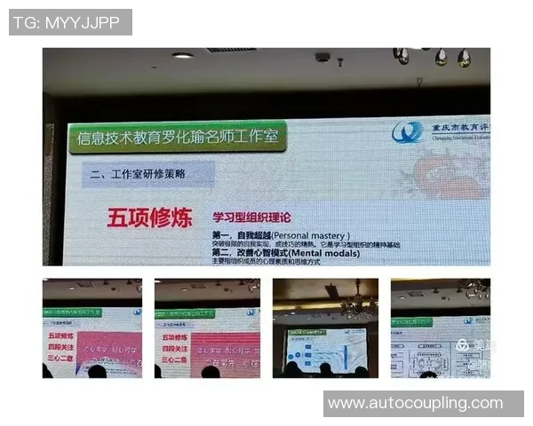 追求卓越荣耀奥运金牌背后的奋斗与精神探析