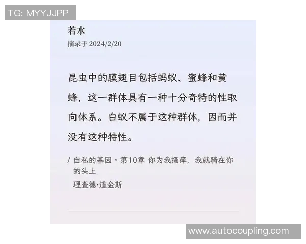 黄蜂生态与行为研究：揭示黄蜂在自然界中的重要角色与生存策略