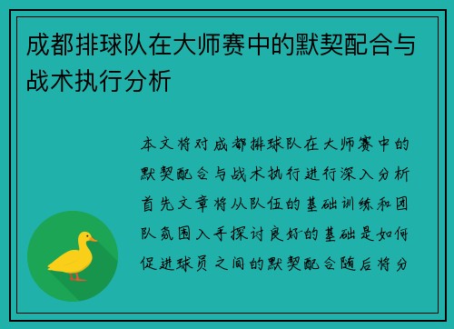 成都排球队在大师赛中的默契配合与战术执行分析